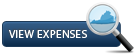 View DLS expenses